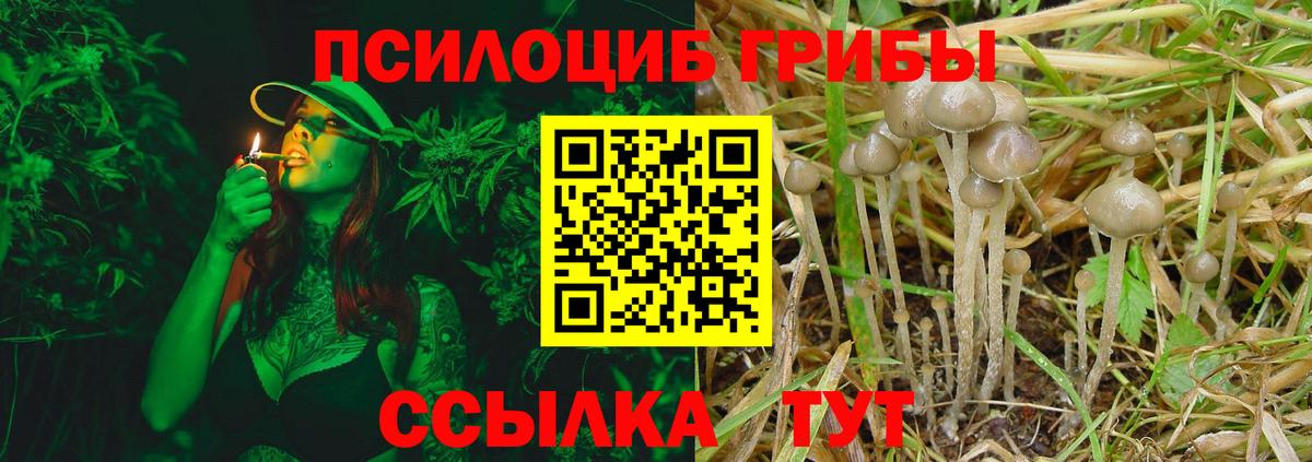 Кировск  Псилоцибиновые грибы Psilocybe  Вход с VPN  Псилоцибиновые грибы Magic Shrooms 